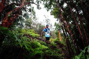 BIB: 
                            <button type="button" onclick="openModal(26201568)" class="btn btn-primary btn-sm float-right btn-popup" data-toggle="modal" data-target=".modal-high-quality">
                        <i class="fas fa-shopping-cart"></i> Add to Cart
                    </button>
                                            <button type="button" onclick="isThisMe(26201568, true)" class="btn btn-success btn-sm float-right btn-popup btn-isme hidden" data-toggle="tooltip" data-placement="bottom" title="นี่คือรูปของคุณใช่ไหม คลิกที่นี่เพื่อเอาเข้าอัลบั้ม">
                        <i class="fas fa-plus"></i> Add to album
                    </button>
                    <button type="button" onclick="isThisMe(26201568, false)" class="btn btn-warning btn-sm float-right btn-popup btn-isnotme hidden">
                        <i class="fas fa-ban"></i> Remove from album
                    </button>